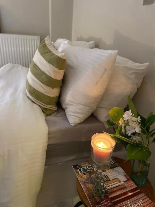 Apartment Ivy House-period Garden Flat Chelsea/fulham *