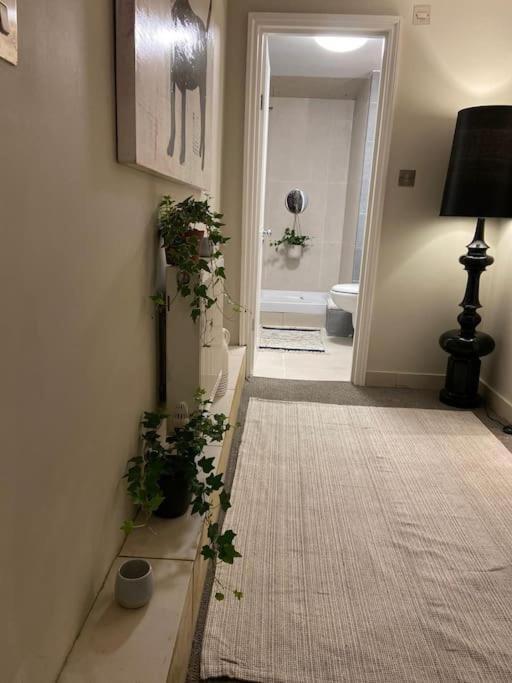 Apartment Ivy House-period Garden Flat Chelsea/fulham