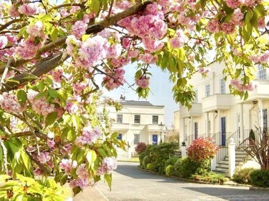 Homestay Beautiful In Gated Community