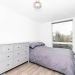 Modern, Spacious Entire 1 Bedroom Apartment.