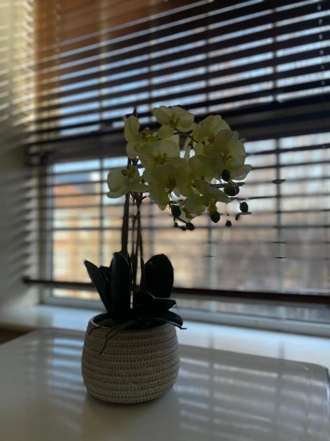 Stunning 1 Bed Flat In The Heart Of Greenwich Londen