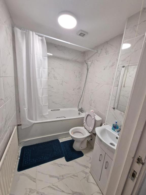 Homestay In A Shared Flat London