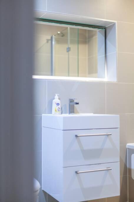 Charming & Large 1-bedroom In The Heart Of Apartment *