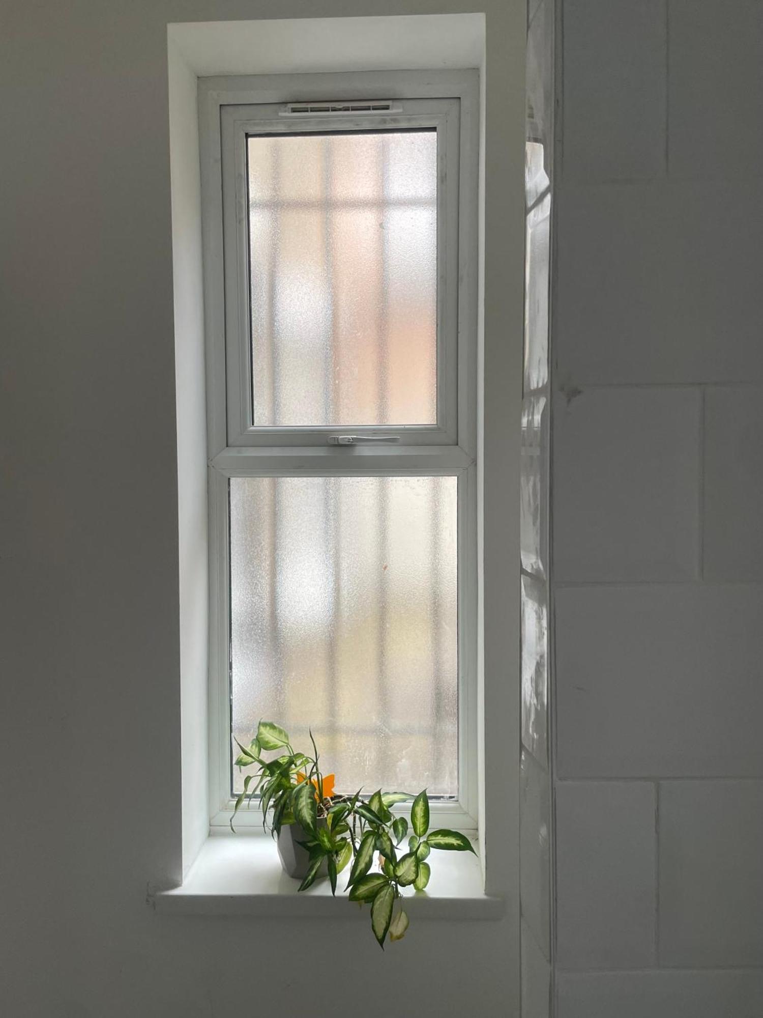 Apartment Little Victorian Conversion
