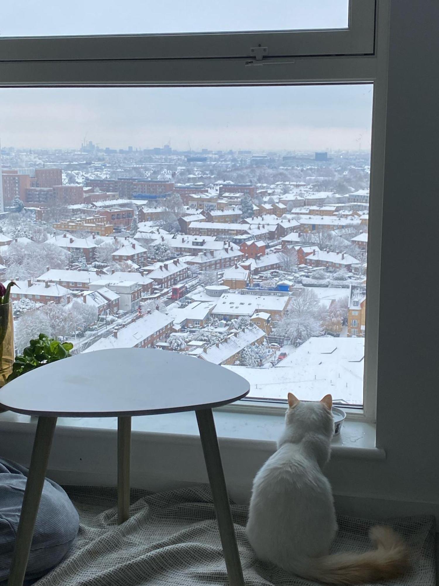 Cozy Flat With Stunning Views *