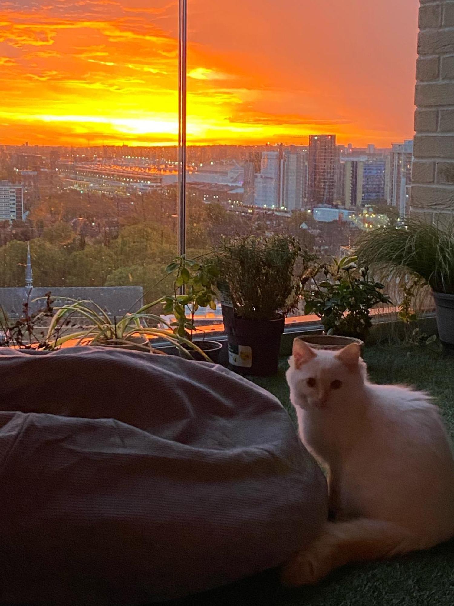 Cozy Flat With Stunning Views *
