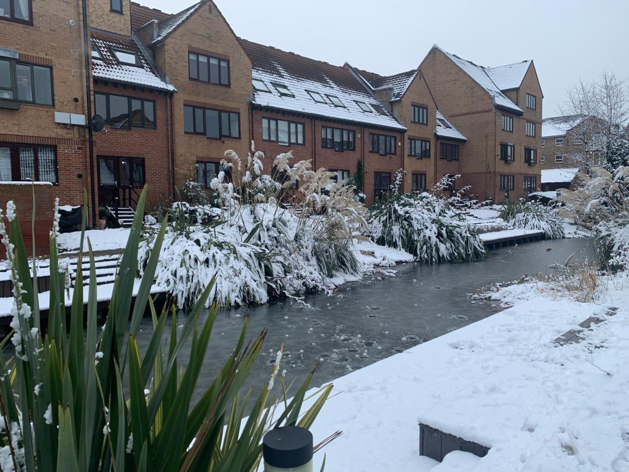 Gorgeous Pond Side House * London