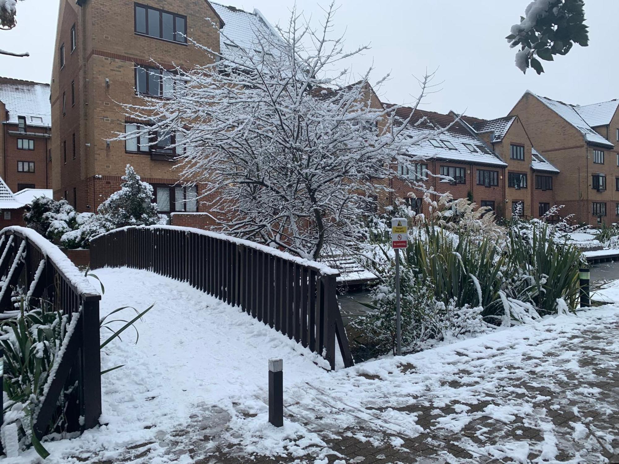 Gorgeous Pond Side House * London