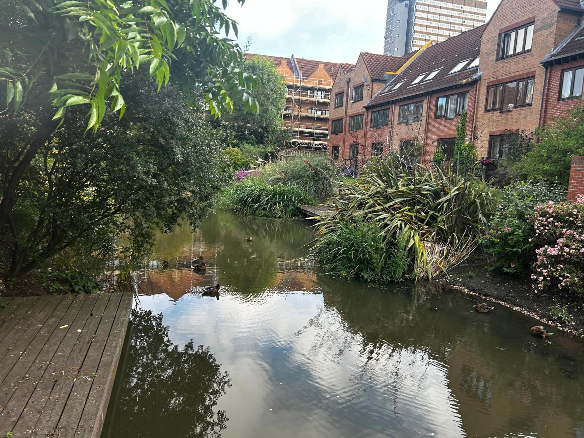 Homestay Gorgeous Pond Side House