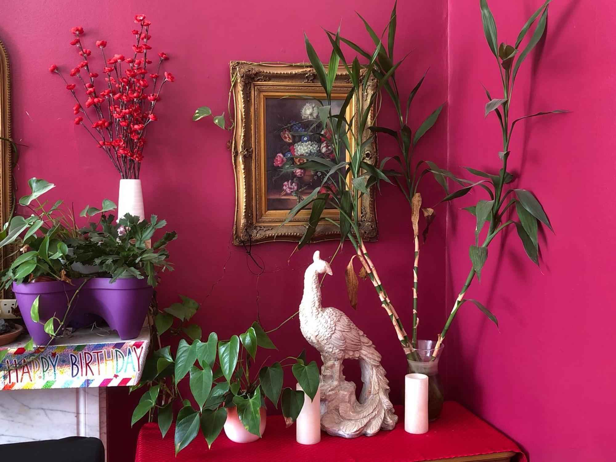 Sjguesthouse Single A London