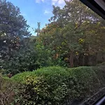 Room Only In Hyde Park