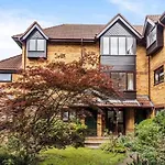 Nice Apartments