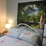 Tdm Bachelot Lettings Ltd