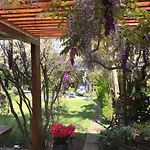 Londonhomegardens