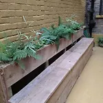 Stylish 1 Bed With Large Plant Filled Garden