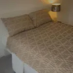 Albert Bridge Spacious Double Room