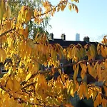 Leafy Notting Hill Cottage