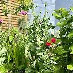 Garden Flat. Tottenham Hale. 20Mins2Central London