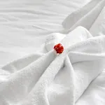 1Bed Flat, Sleeps 3 - 2Min Tube , 20Min Central London, 1Gb Fibre Wifi, Free Snacks & Toiletries, 2 New Smart Tvs & Sofabed