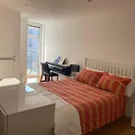 River View Spacious Apartment