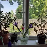 East London Apartmentsleeps2-Garden-Transportlinks