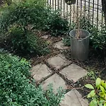 Luxury, One-Bedroom Street Property Central London