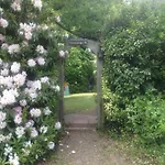 Forest Lodge Bed And Breakfast