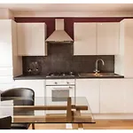 York Shell Studio Apartment