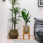 The Interlock Apartments - Oxford St