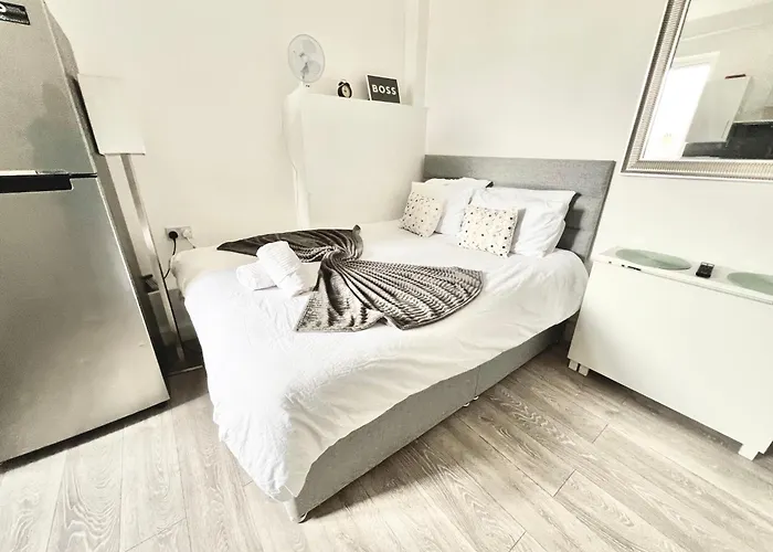 Complete Central Flat Netflix And Fast Wifi
