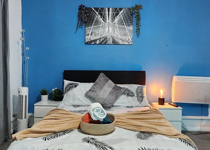 New Deluxe Studio Apt-2