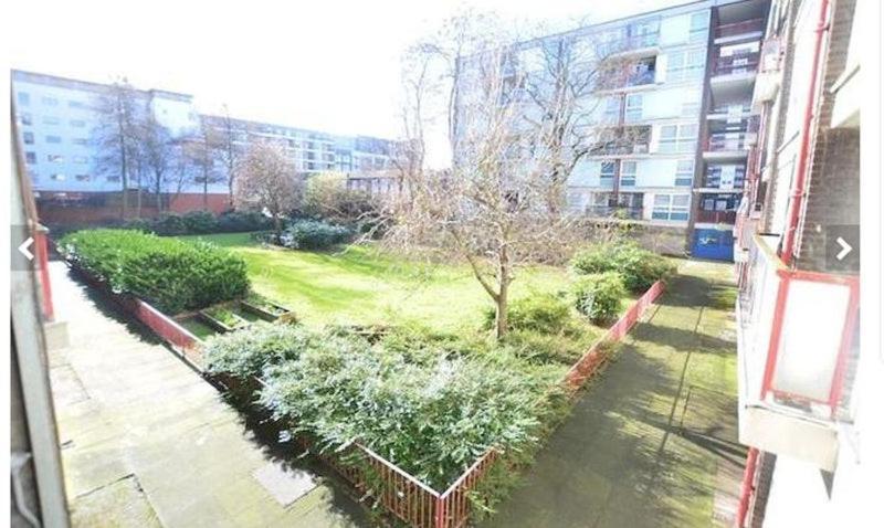 Creative Flatshare Homestay London