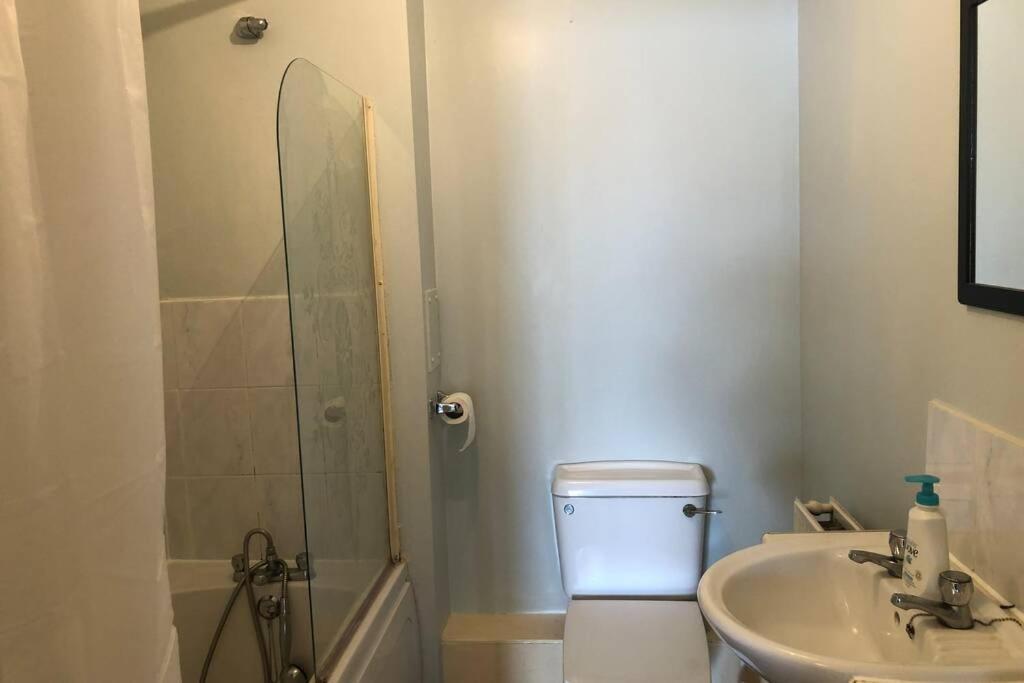 Thames View & Free Parking - Perfect Long Workers Only Apartment London