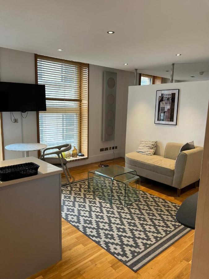 Piccadilly Circus Luxury Studio Apartment London