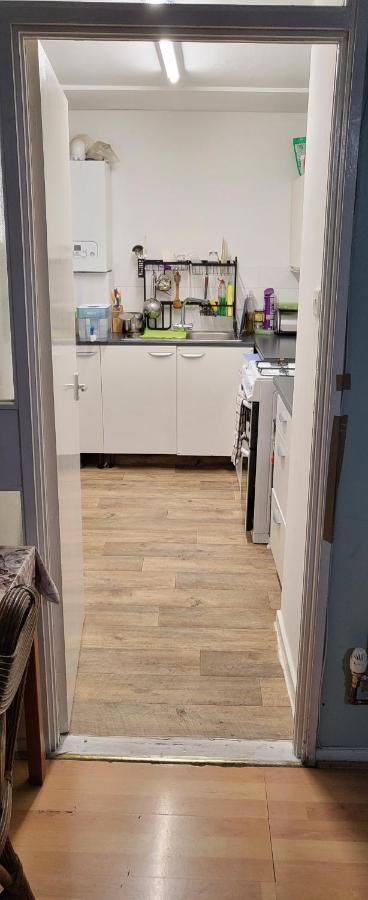 Double In A Cosy Flat In Tooting Habitación en casa particular Londres