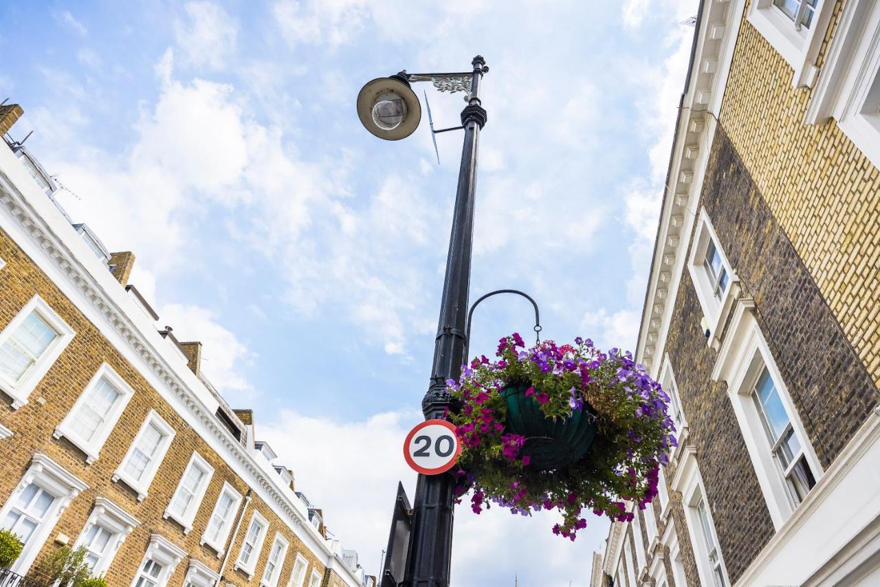 Pimlico Hub London