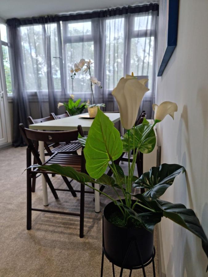 Appartement Remarkable 3-bed In *