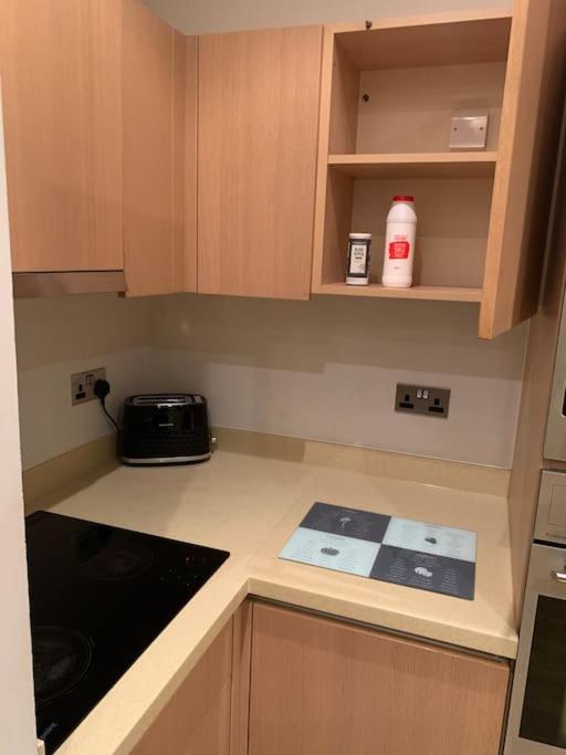 Apartment Stunning 2 Bed Flat! Centrally Located In London, Uk!