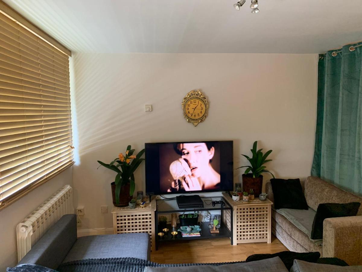 Garden Beautiful Cozy Flat , Recent Decorated. Londen