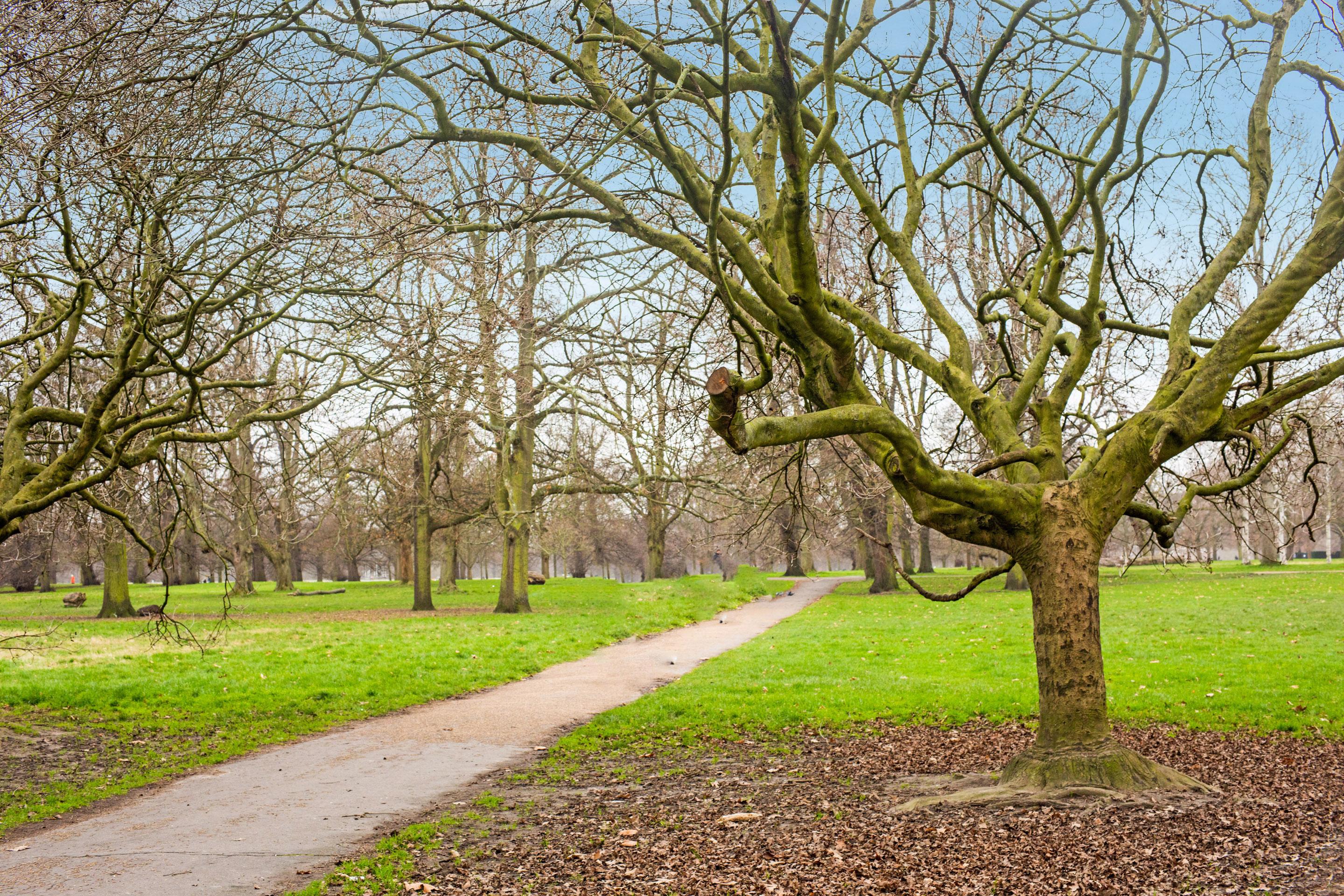 Hotel Townhouse Apollo, Hyde Park London