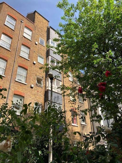 Apartment Lovely 1 Bedroom In Waterloo