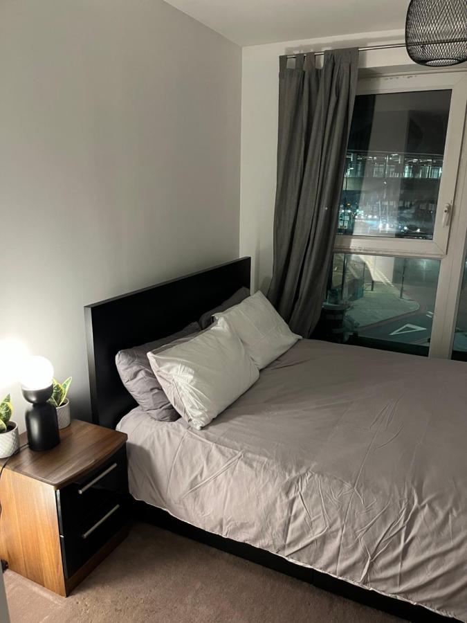 Luxurious Dlr Apartment London