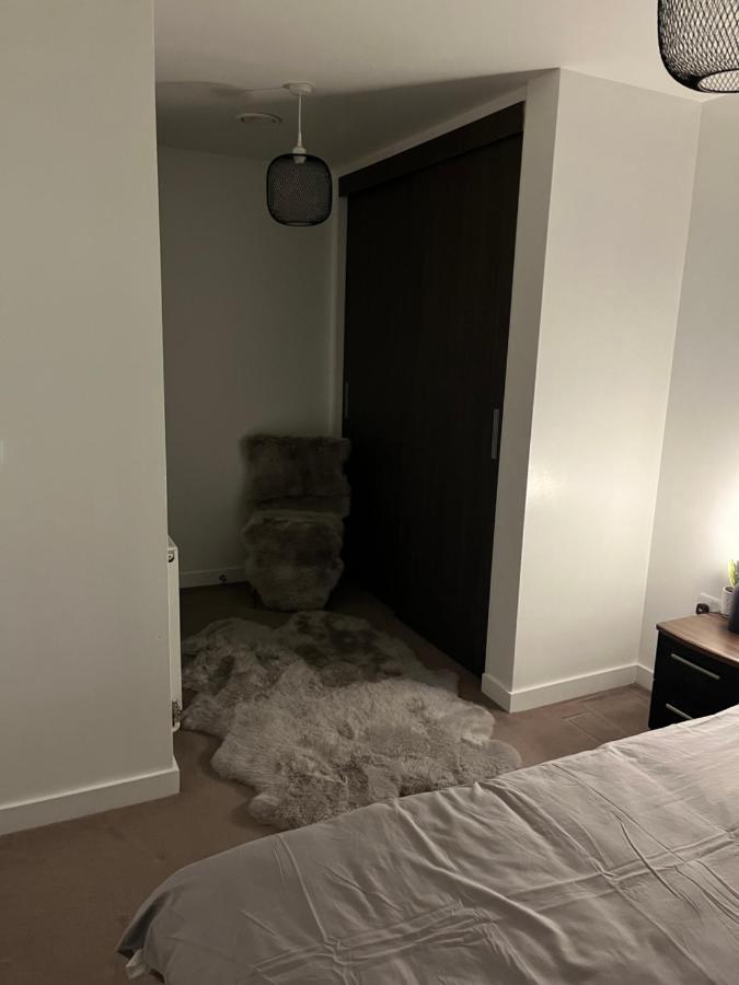Luxurious Dlr Apartment