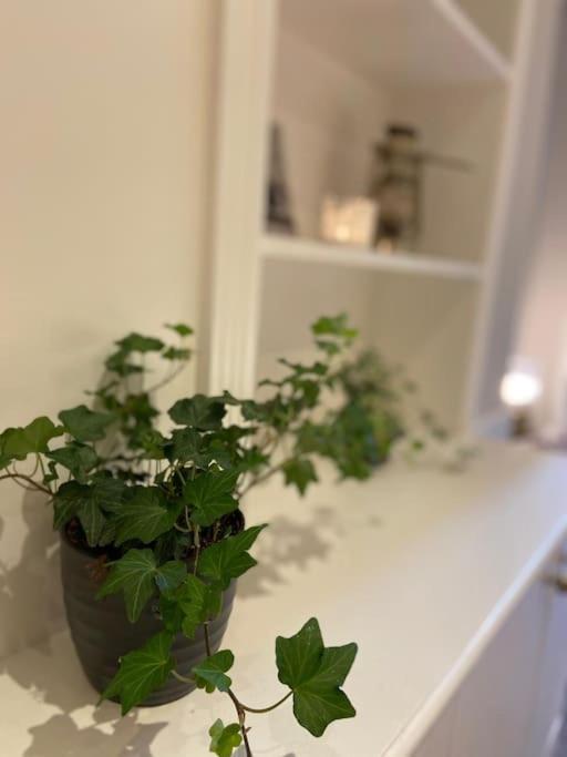 Ivy House-period Garden Flat Chelsea/fulham * Londen