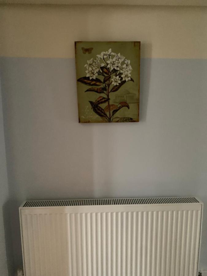 Cosy 6 Bedroom House Holiday home London