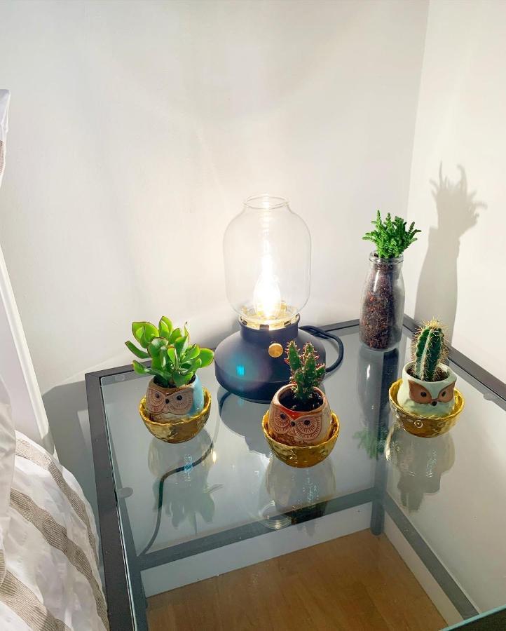 Garden Beautiful Cozy Flat , Recent Decorated. Appartement