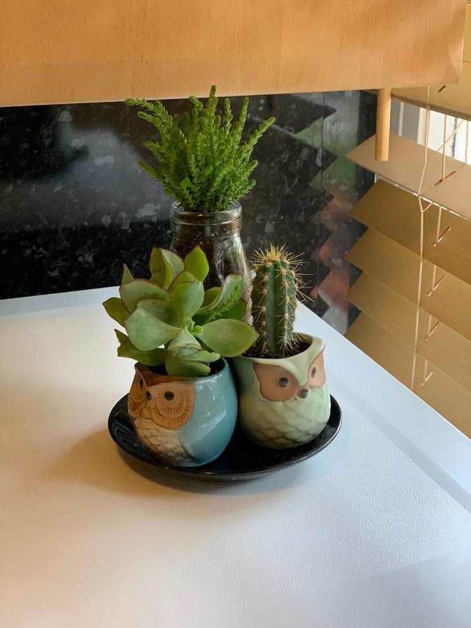 Garden Beautiful Cozy Flat , Recent Decorated. Appartement *