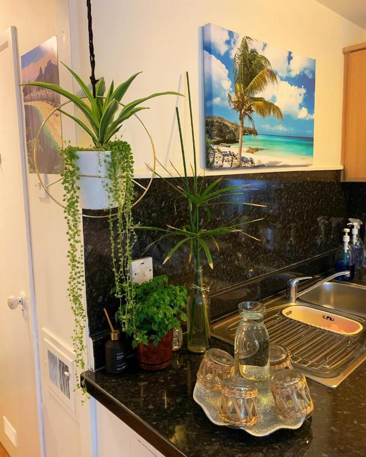 Garden Beautiful Cozy Flat , Recent Decorated. Londen