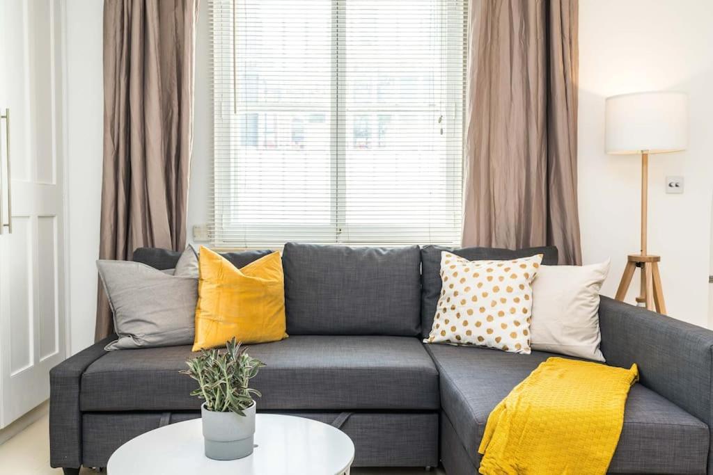 Spacious Beautiful Just-renovated Flat With Patio - Chelsea London