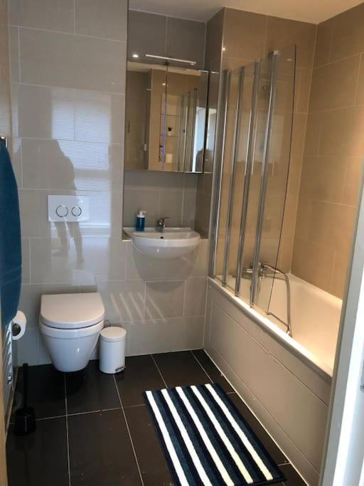 Opposite Shoreditch Park Appartement Londen